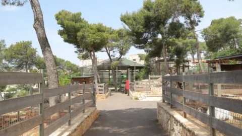 נופארק- פארק החלומות של נוף הגליל (7).JPG